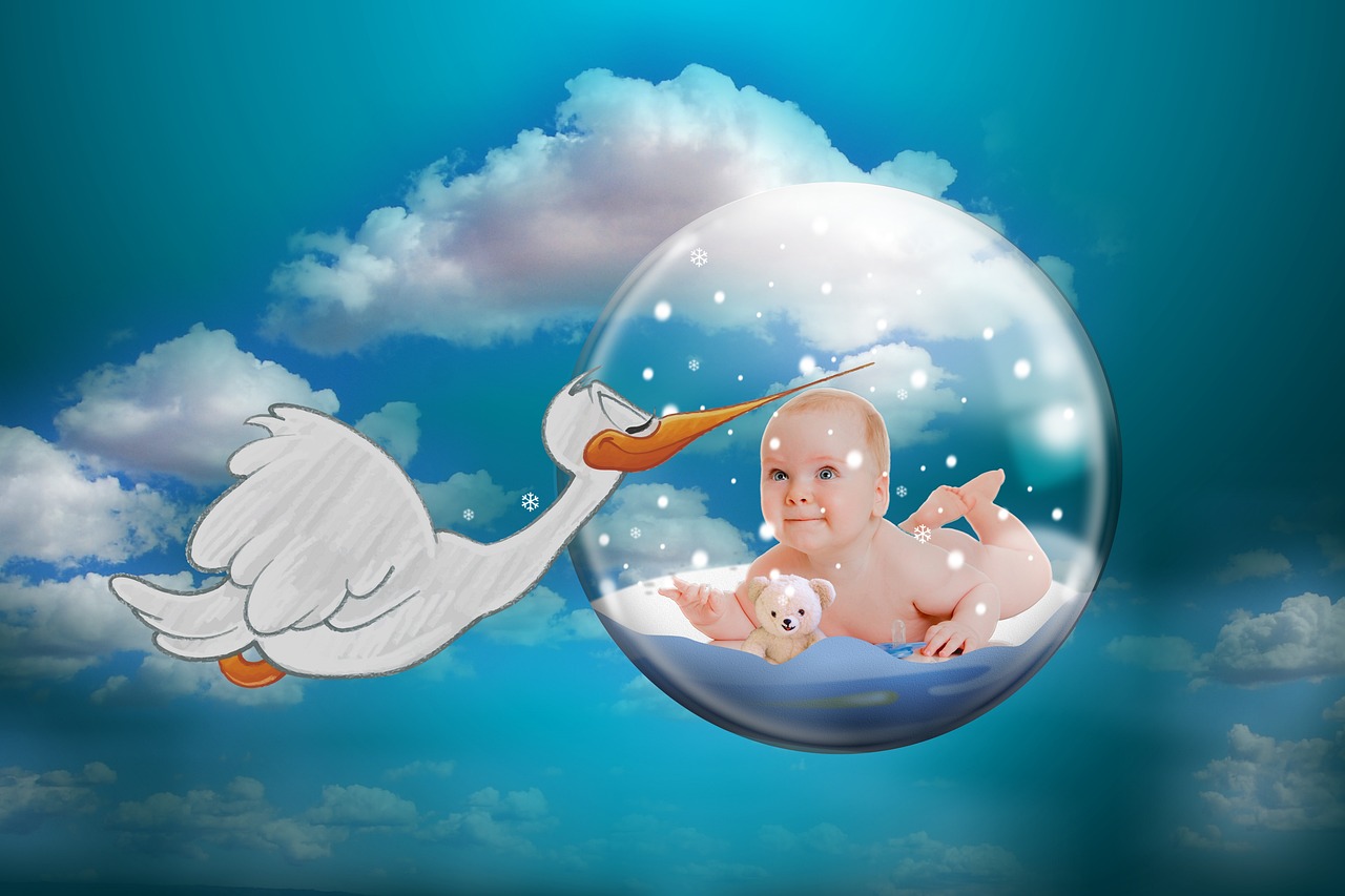 infant, stork, rattle stork, fertility, storks, children, daughter, son, fertility, fertility, fertility, fertility, fertility